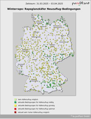 Schädlingsprognose KW 14 - 2025