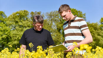 RAPOOL - rozumíme řepce
