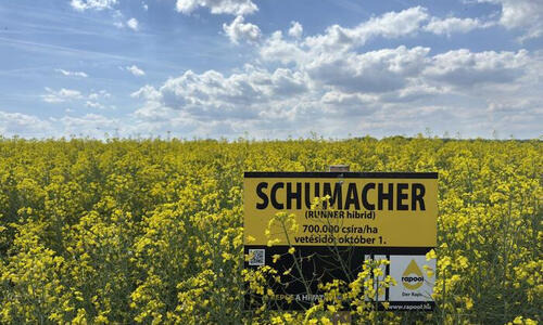 SCHUMACHER - NOVÁ GENERACE ŘEPKY