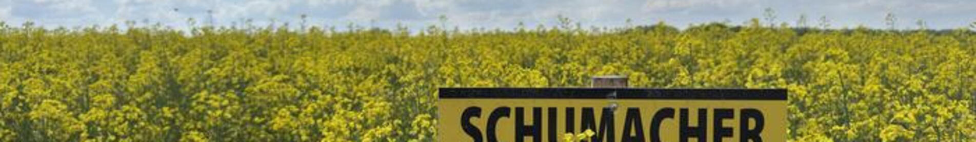 SCHUMACHER - NOVÁ GENERACE ŘEPKY